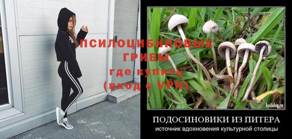 mdpv Краснослободск