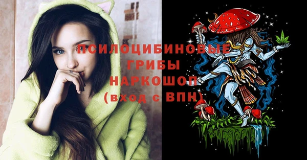 меф Корсаков