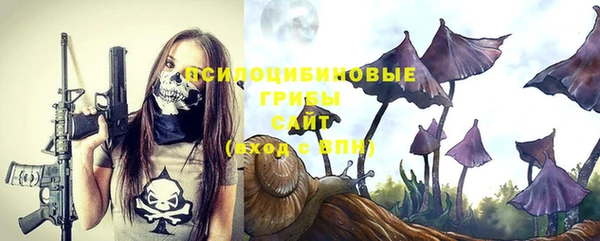 меф Корсаков