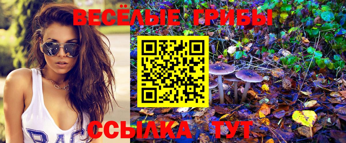 Галлюциногенные грибы Magic Shrooms Клинцы